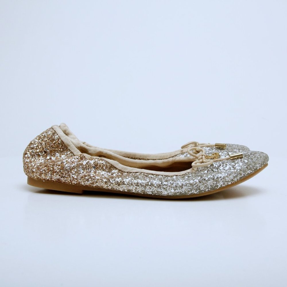 NWT Sam‎ Edelman Felicia Gradient Silver Gold Flats
